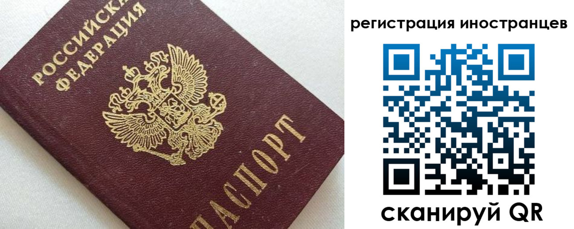 прописка в Новом Осколе